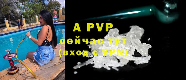 винт Белокуриха